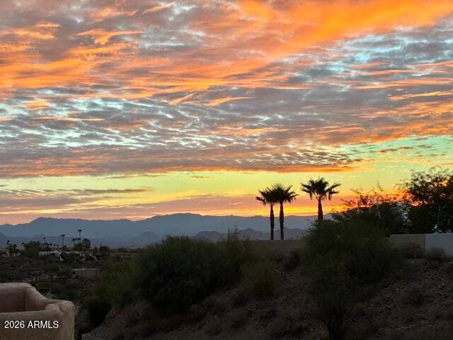 16107 E Emerald Drive 204, Fountain Hills, AZ 85268 — photo 33 of 40