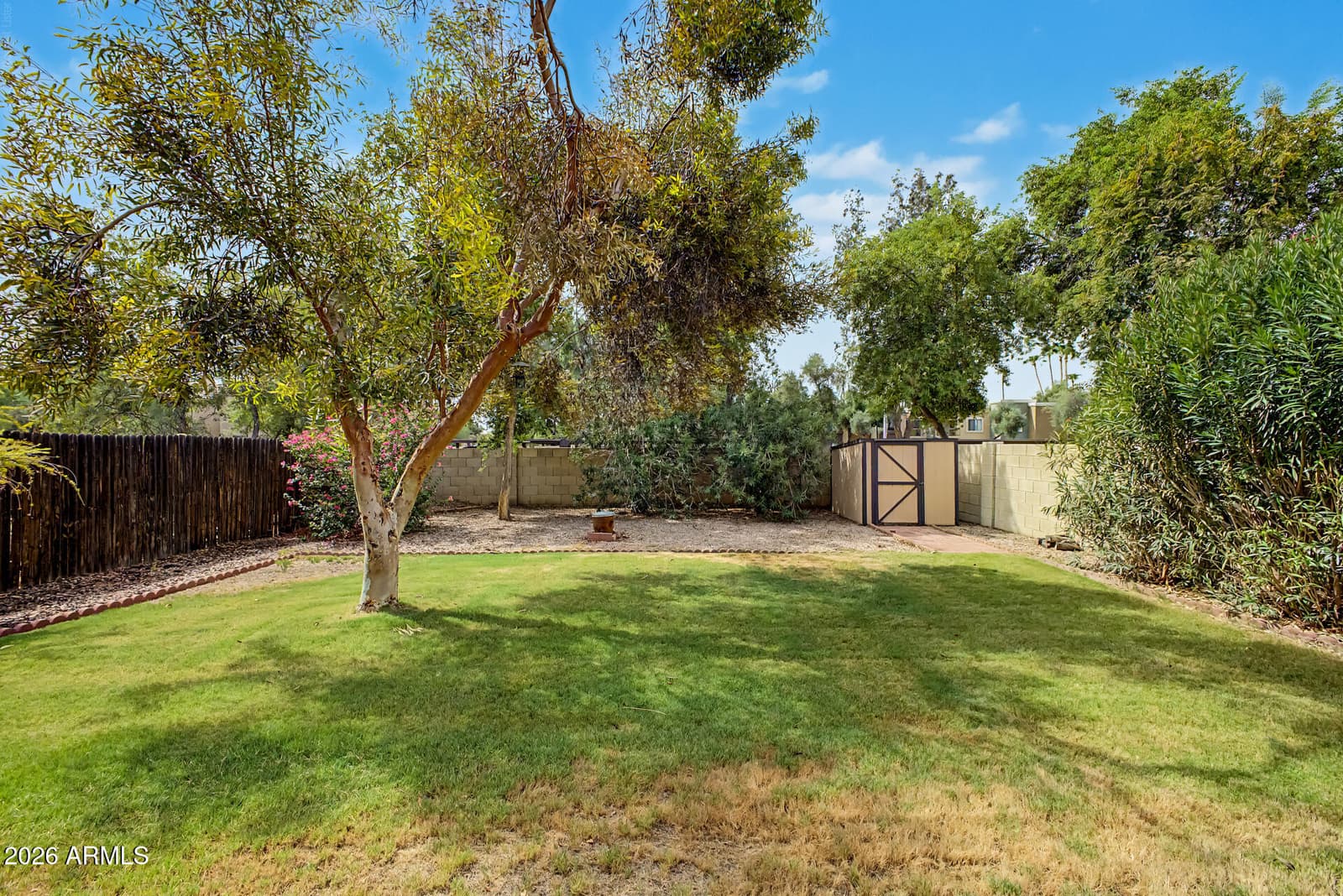 857 E Manor Drive, Chandler, AZ 85225 — photo 17 of 27