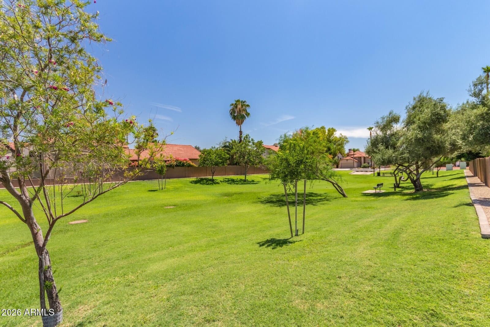 857 E Manor Drive, Chandler, AZ 85225 — photo 23 of 27