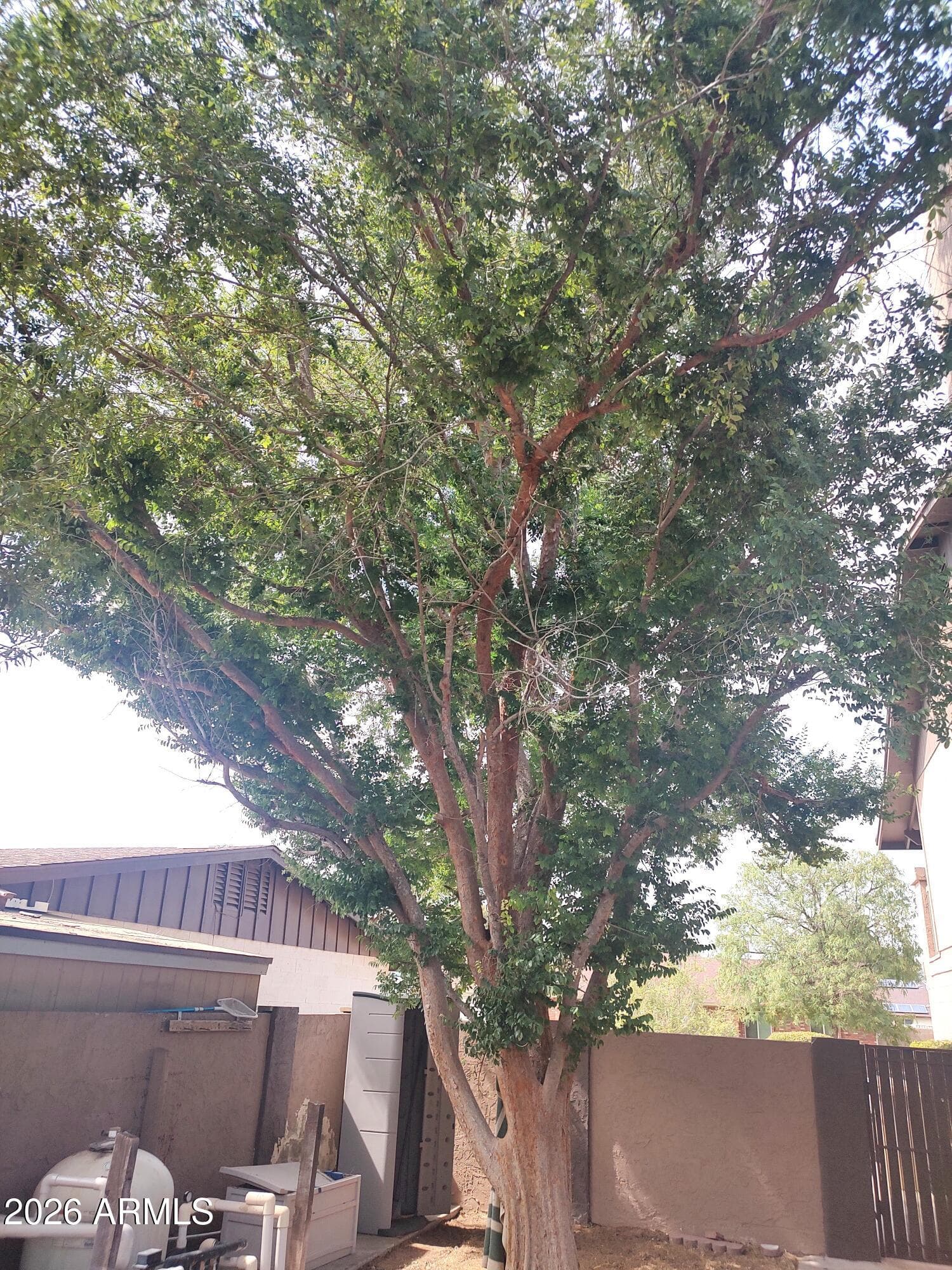 6207 W Altadena Avenue, Glendale, AZ 85304 — photo 46 of 47