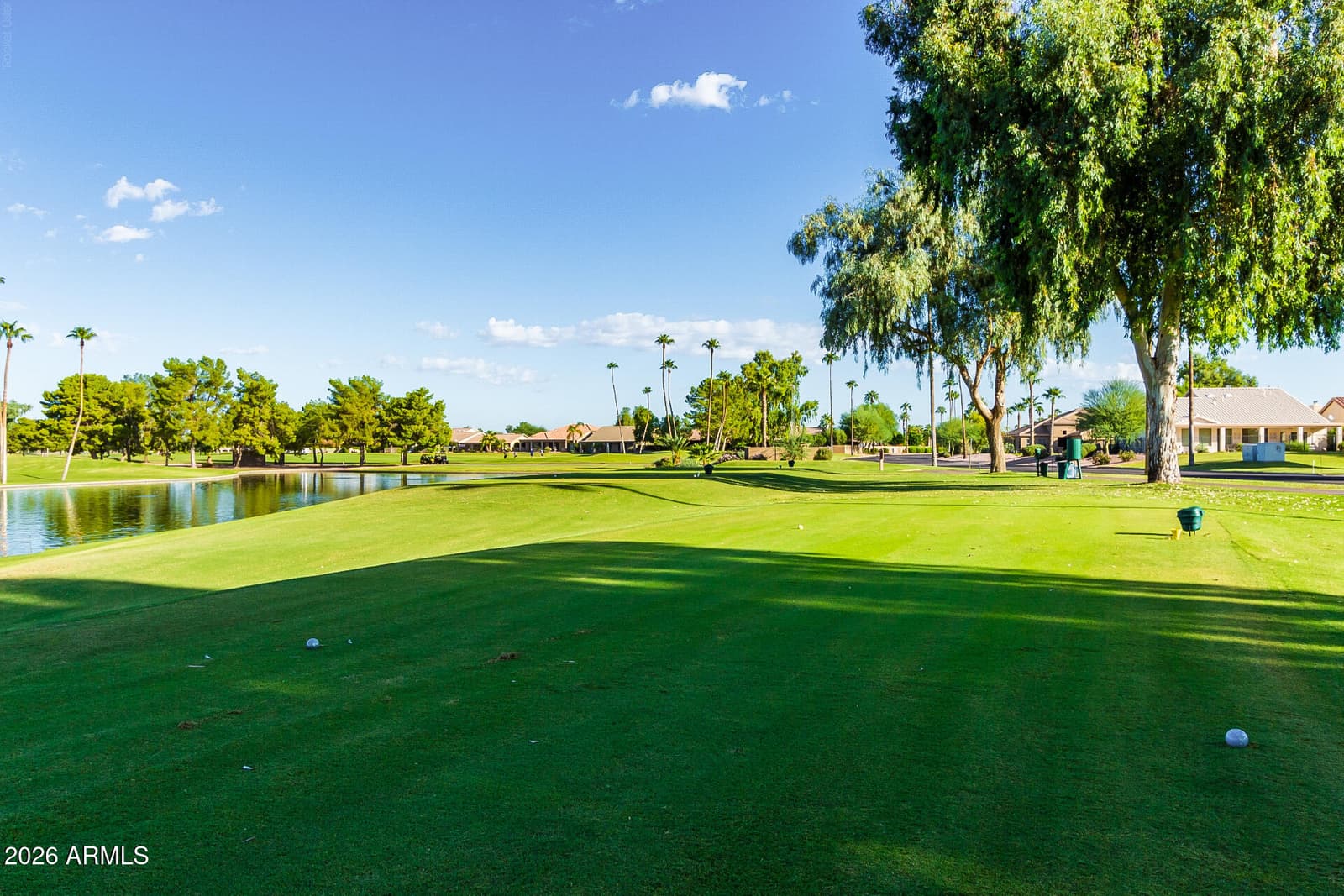 9528 E Sunmesa Court, Sun Lakes, AZ 85248 — photo 53 of 77
