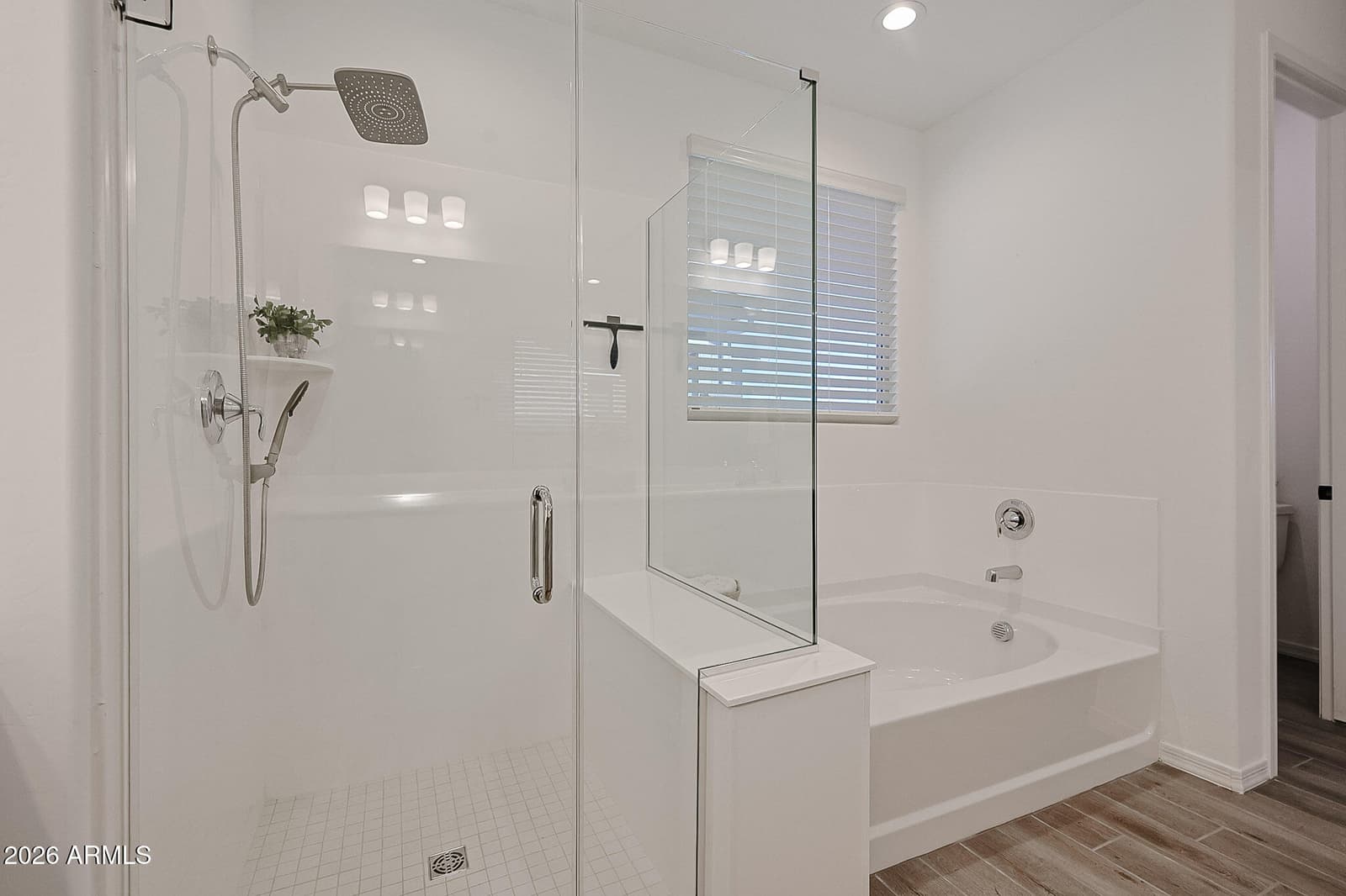 18119 W Silverwood Drive, Goodyear, AZ 85338 — photo 32 of 100