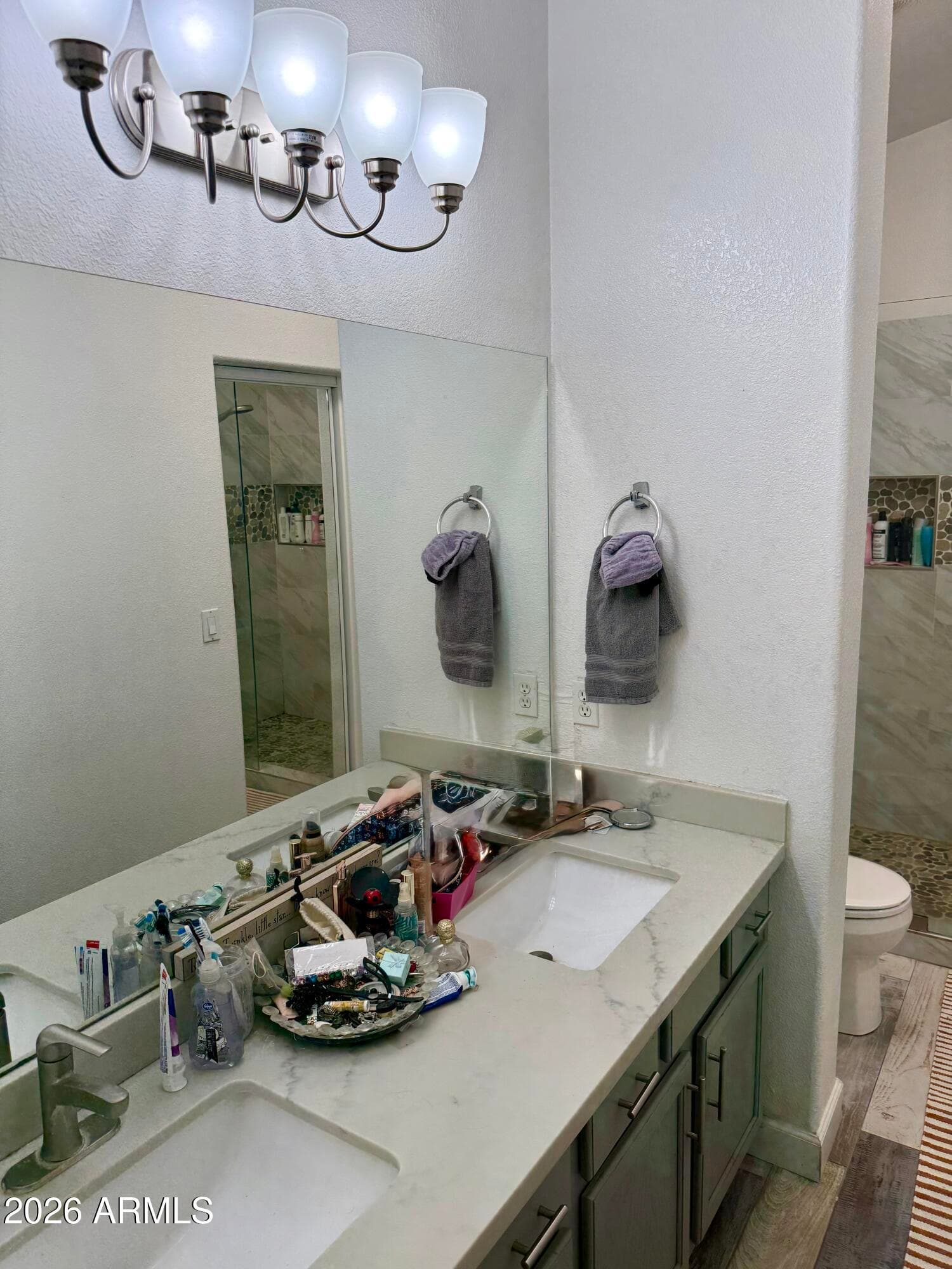 599 W Colt Road, Chandler, AZ 85225 — photo 11 of 22
