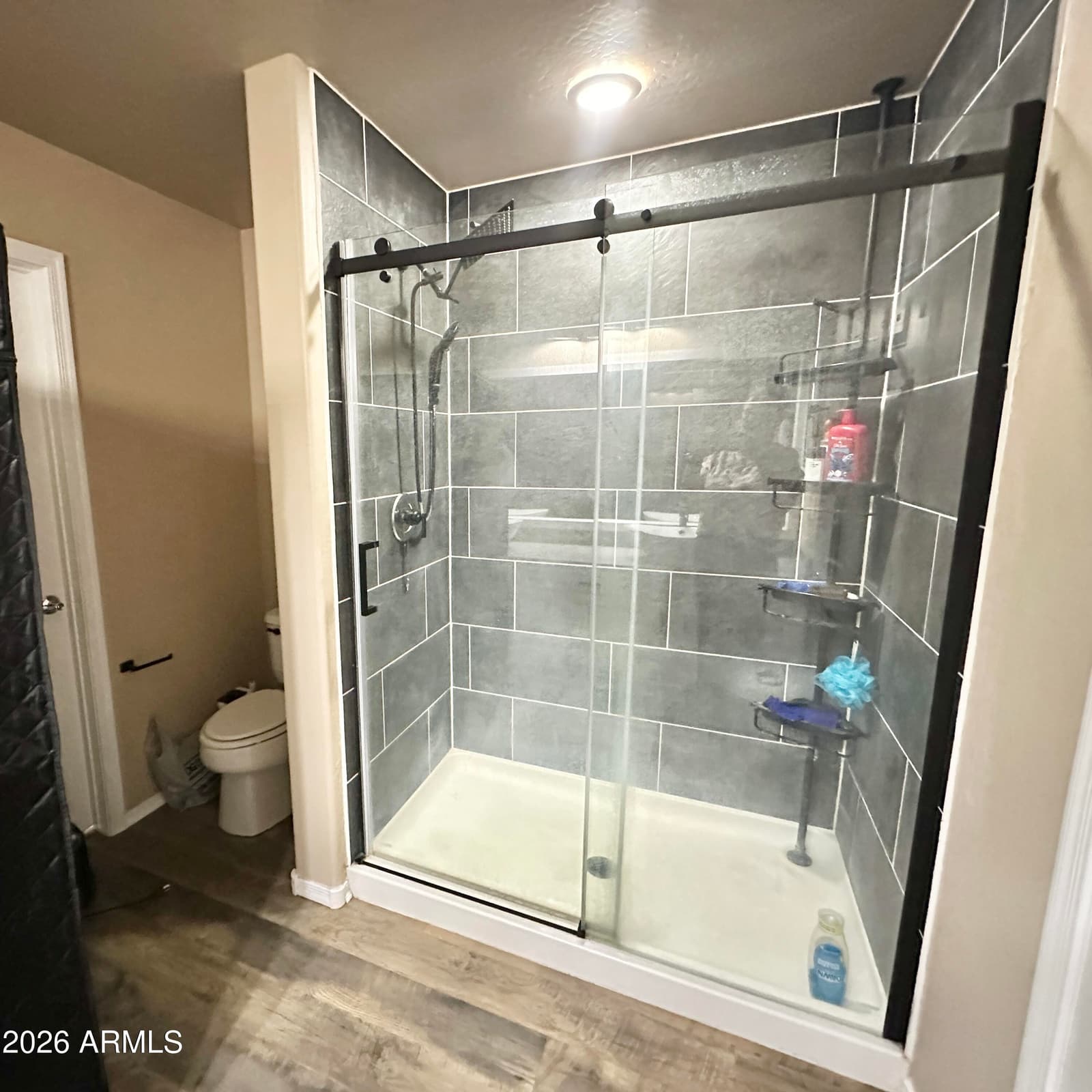166 N 194th Lane, Buckeye, AZ 85326 — photo 44 of 53