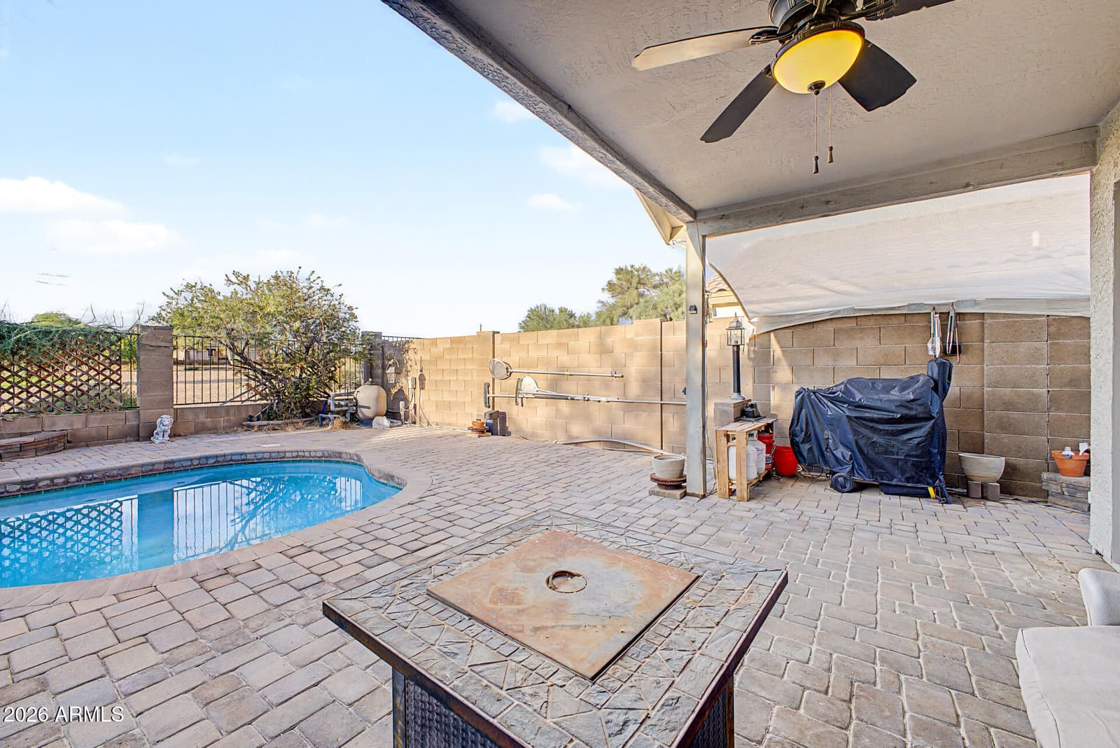 1096 E Graham Lane, Apache Junction, AZ 85119 — photo 34 of 46