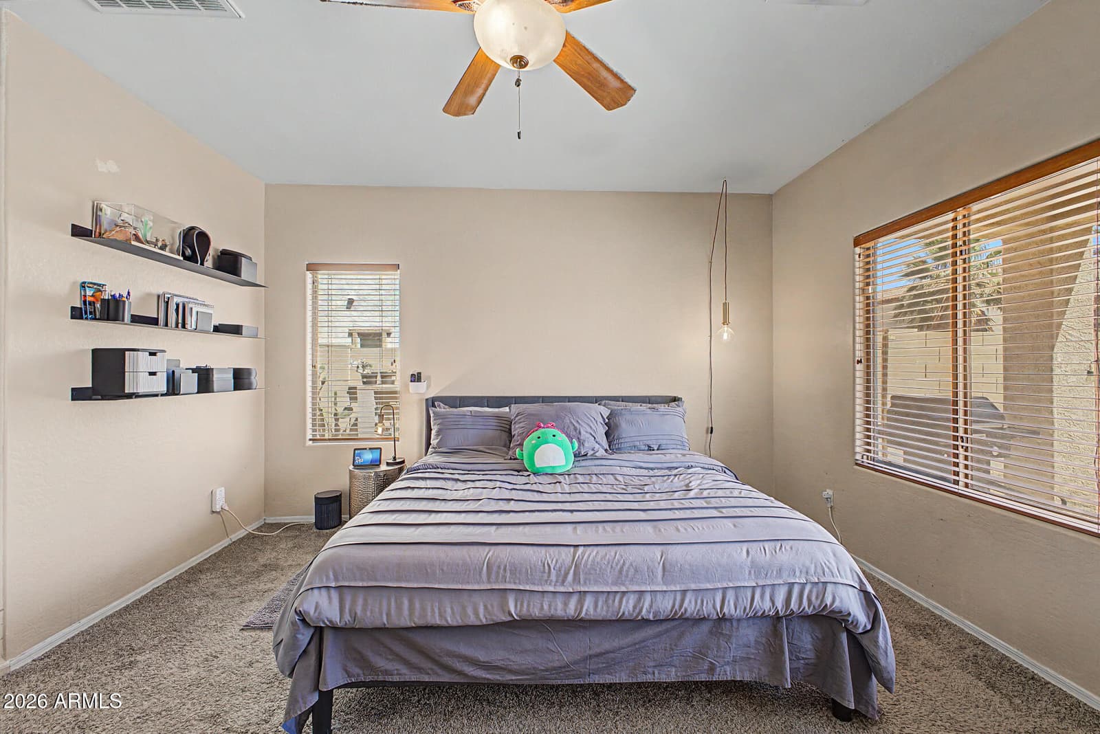 5229 W Branham Lane, Laveen, AZ 85339 — photo 17 of 28