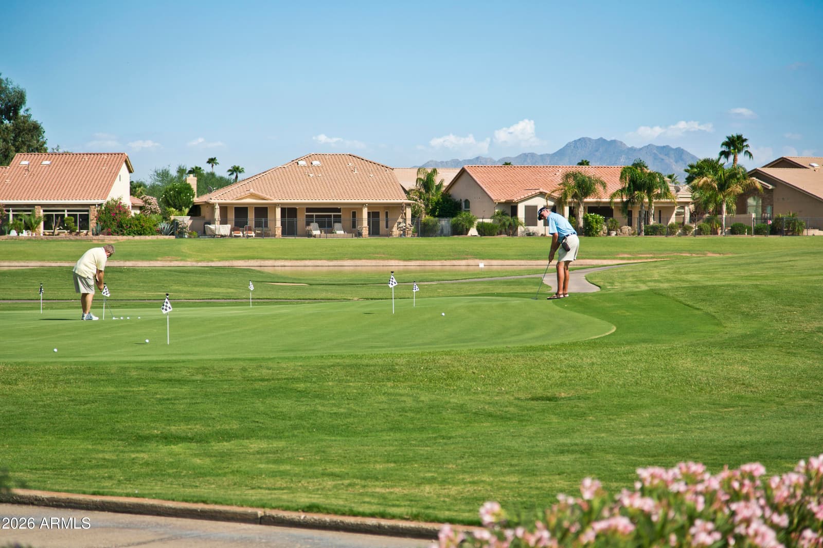 433 W Teakwood Drive, Sun Lakes, AZ 85248 — photo 46 of 50
