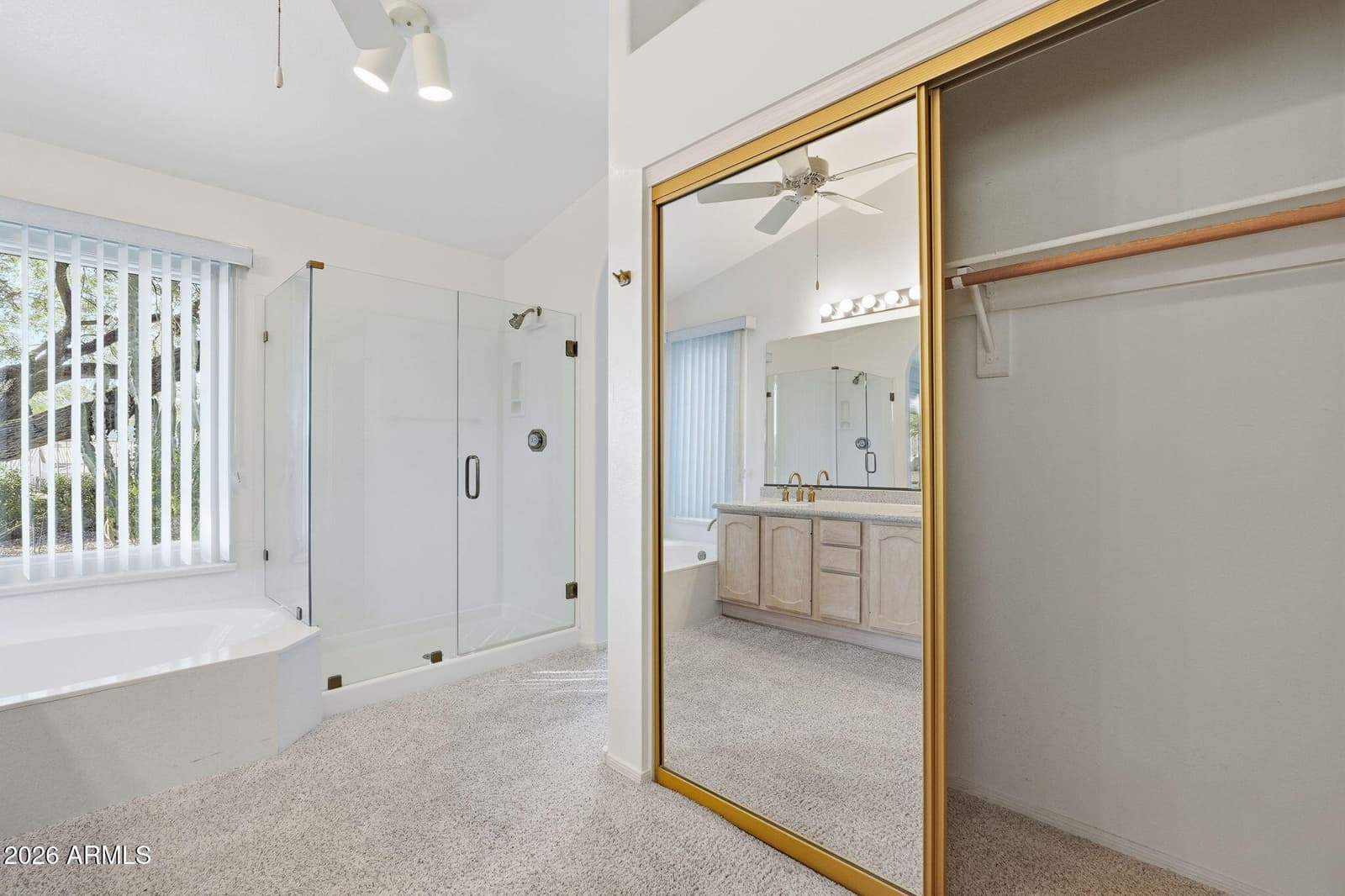 5396 S Pyrite Circle, Gold Canyon, AZ 85118 — photo 28 of 71