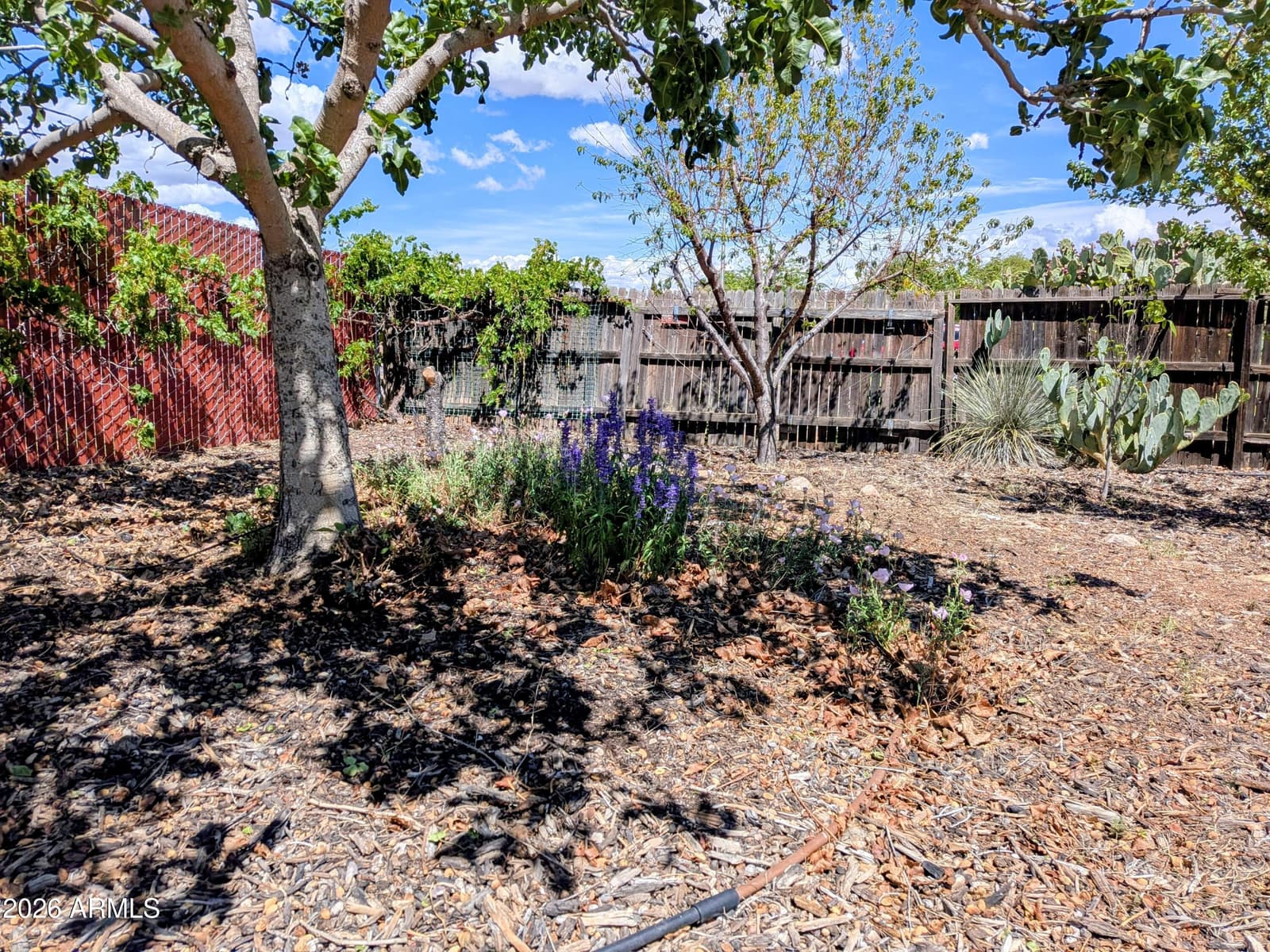 5185 E Paseo Las Palmas, Sierra Vista, AZ 85635 — photo 44 of 52