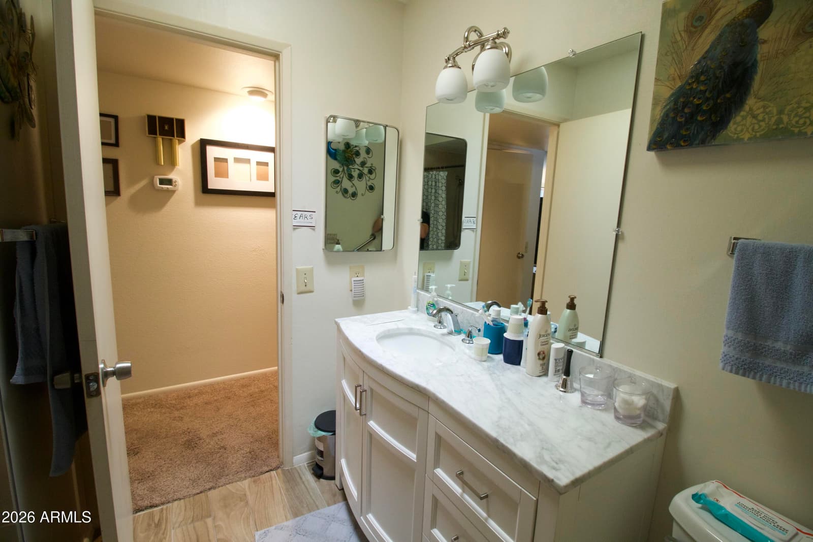 16825 N 108th Avenue, Sun City, AZ 85351 — photo 20 of 28
