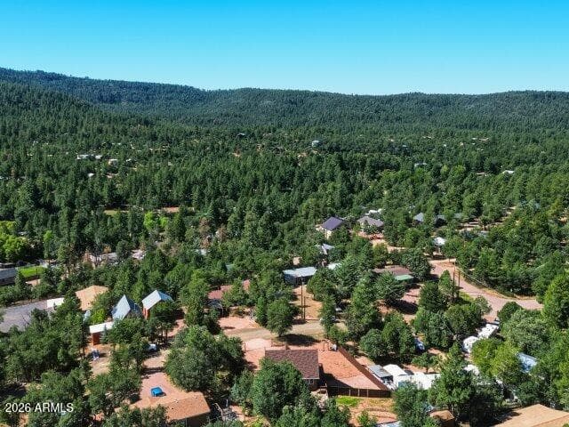 8076 W Lufkin Drive, Pine, AZ 85544 — photo 41 of 46