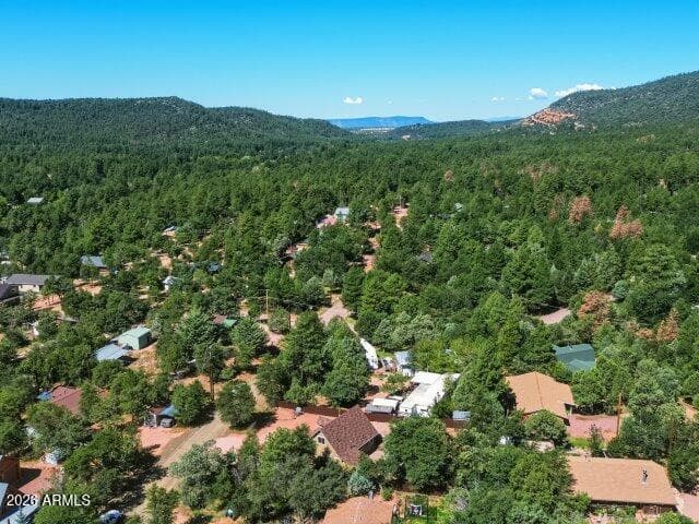 8076 W Lufkin Drive, Pine, AZ 85544 — photo 42 of 46