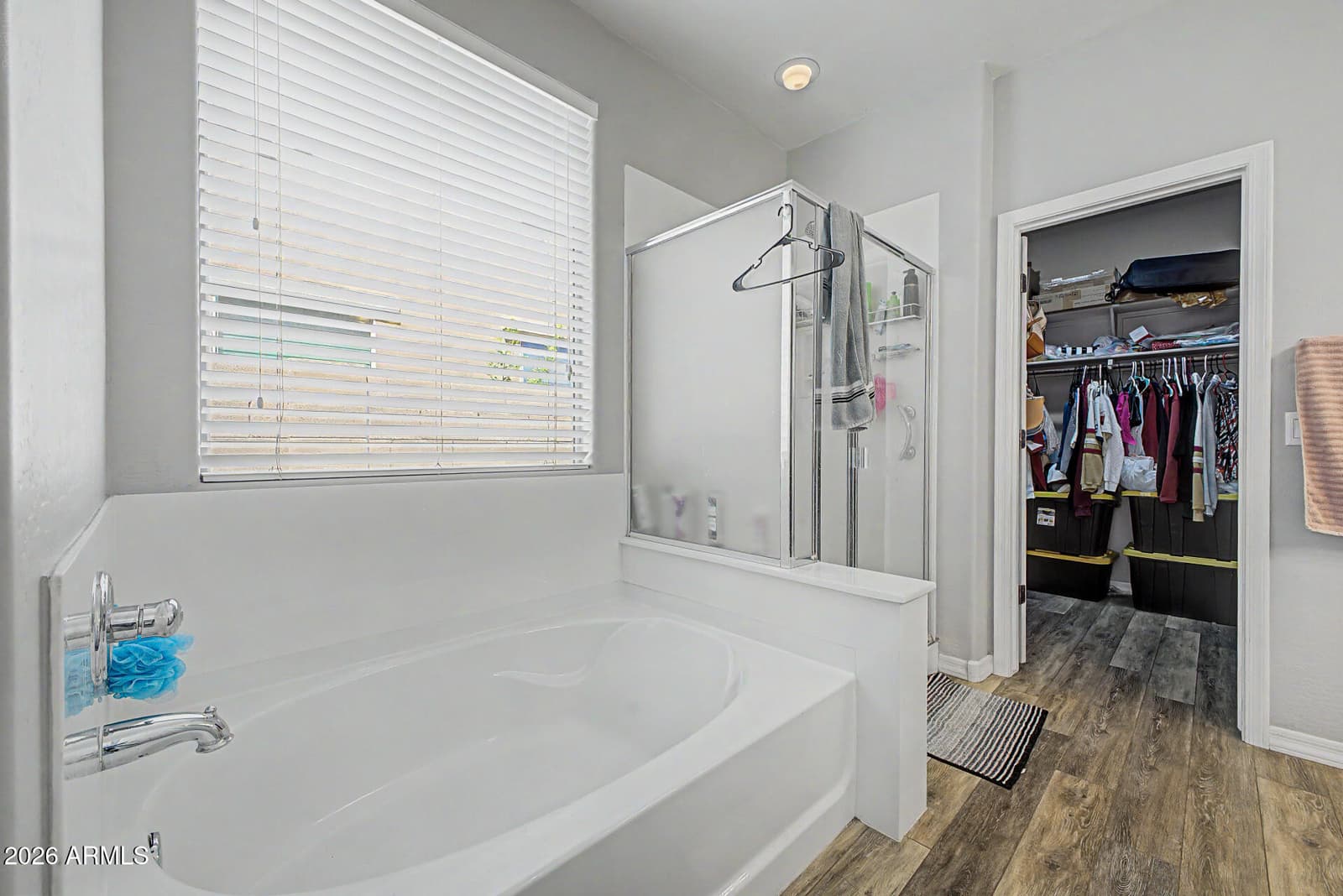 31072 N 136th Lane, Peoria, AZ 85383 — photo 16 of 29