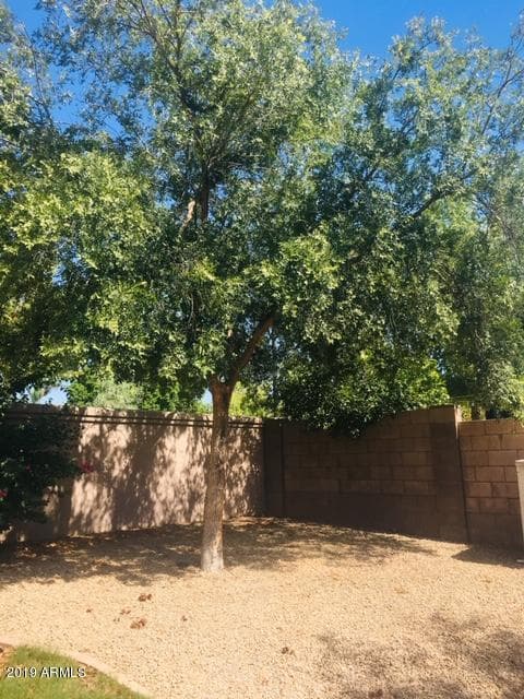 891 N Date Palm Drive, Gilbert, AZ 85234 — photo 36 of 53