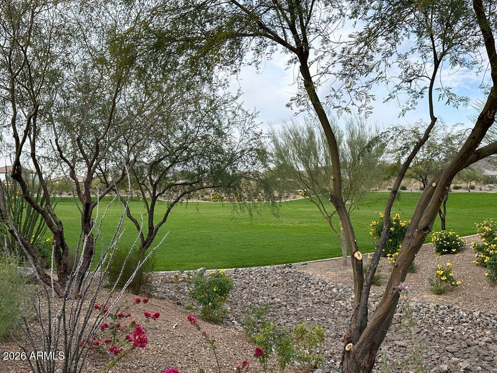 25971 N 79th Avenue, Peoria, AZ 85383 — photo 11 of 18