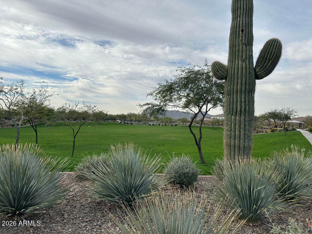 25971 N 79th Avenue, Peoria, AZ 85383 — photo 12 of 18