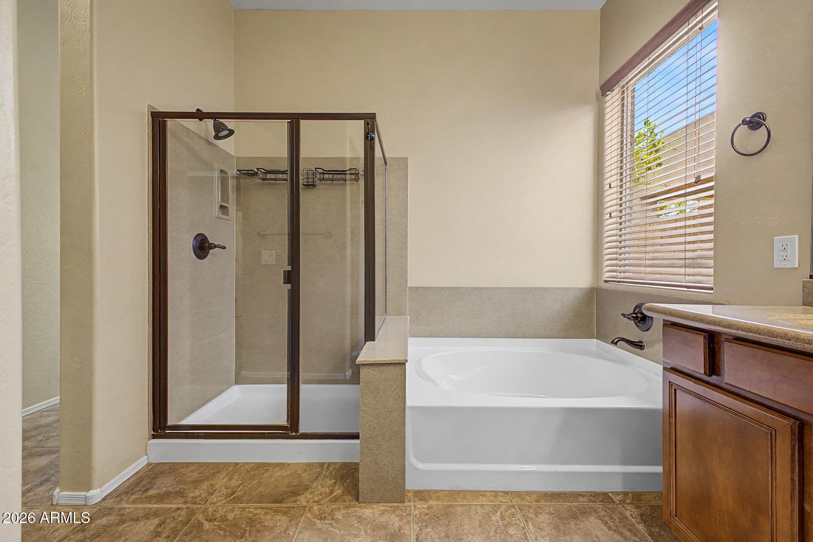 17604 W Marconi Avenue, Surprise, AZ 85388 — photo 16 of 23