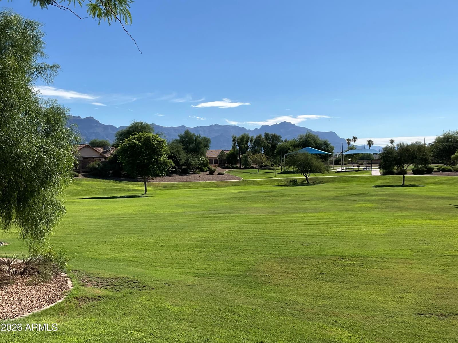 1096 E Graham Lane, Apache Junction, AZ 85119 — photo 45 of 46