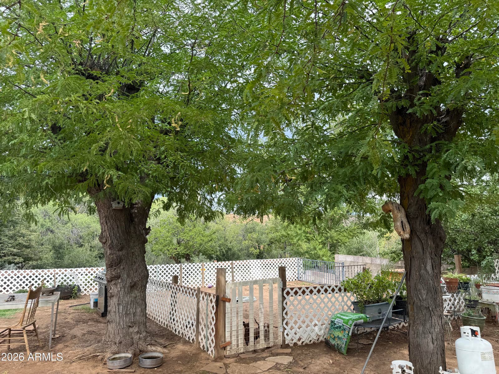 12501 E Central Avenue, Mayer, AZ 86333 — photo 5 of 28