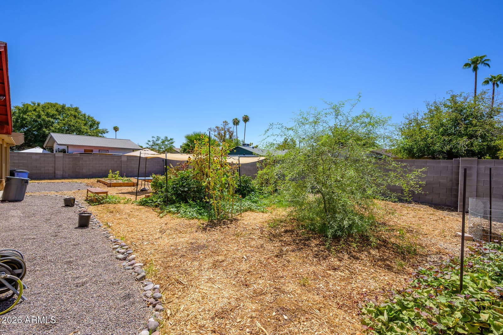 407 E Julie Drive, Tempe, AZ 85283 — photo 25 of 27