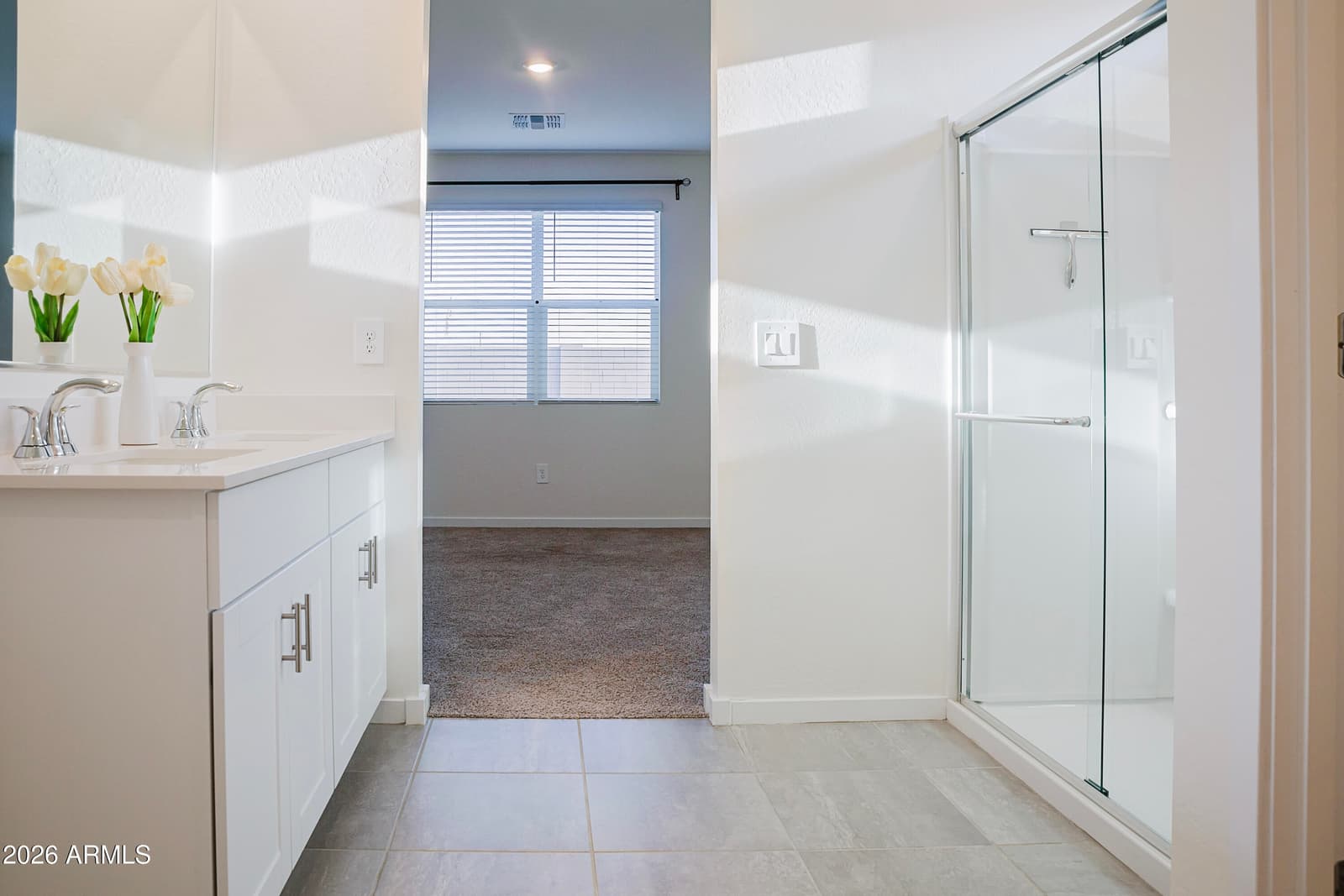 24377 W La Salle Street, Buckeye, AZ 85326 — photo 7 of 18