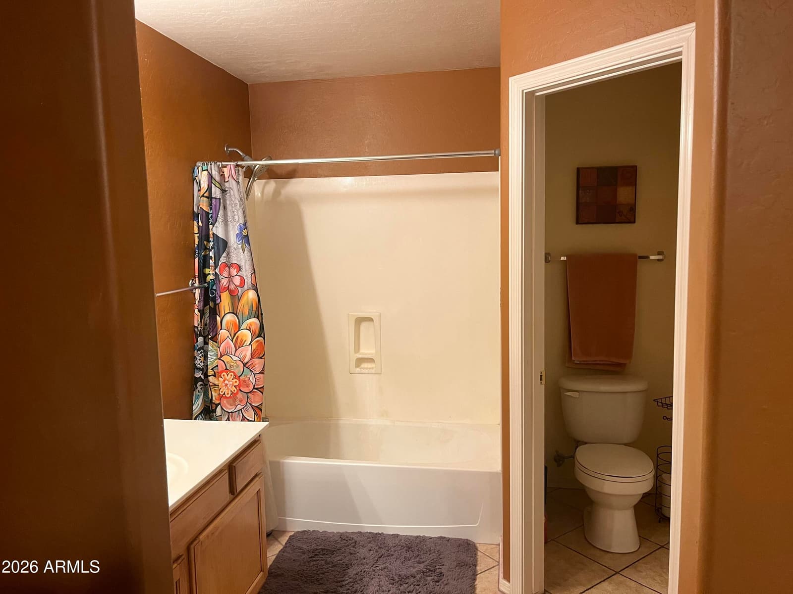 1147 S 231st Court, Buckeye, AZ 85326 — photo 14 of 19