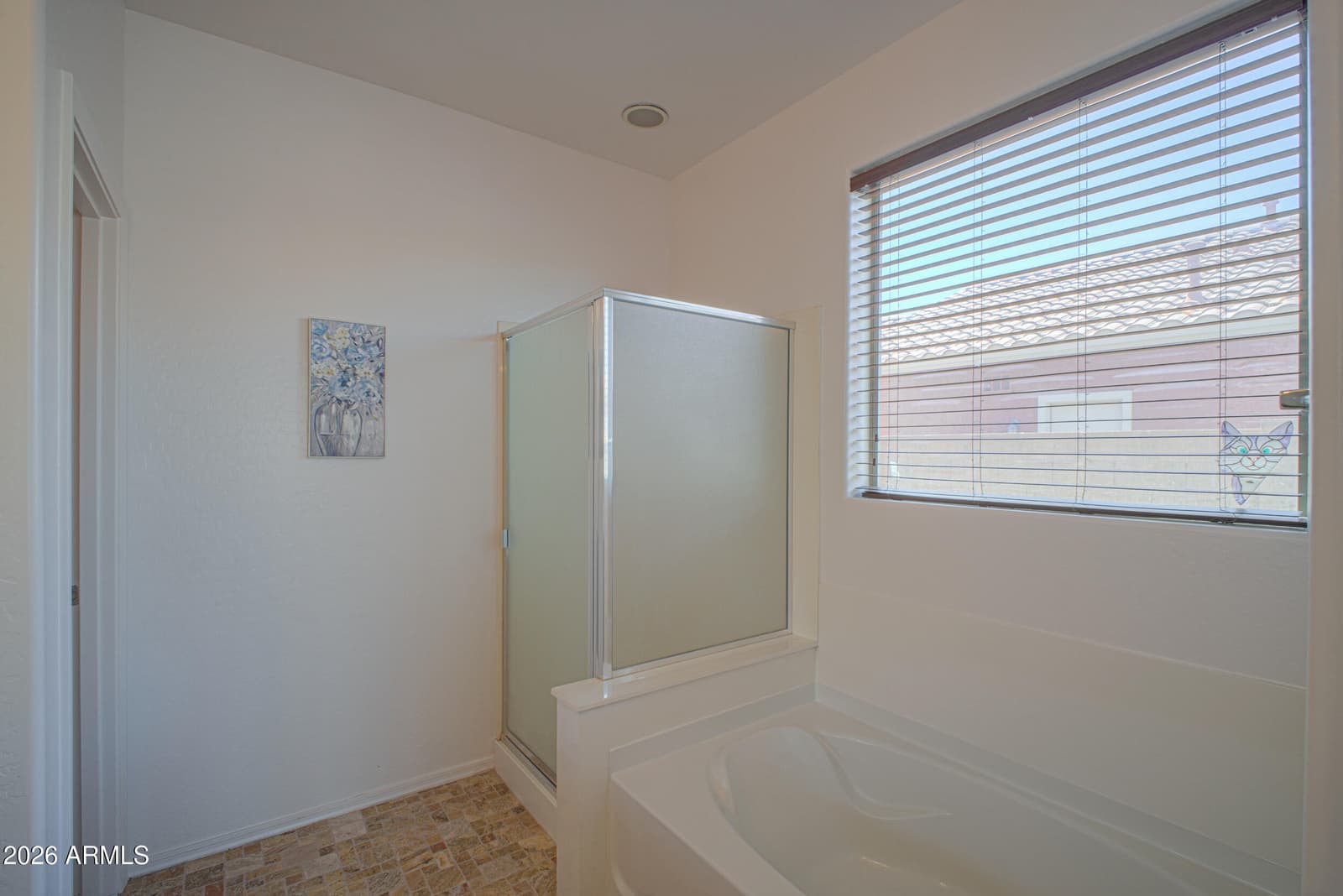 36130 W Vera Cruz Drive, Maricopa, AZ 85138 — photo 37 of 52
