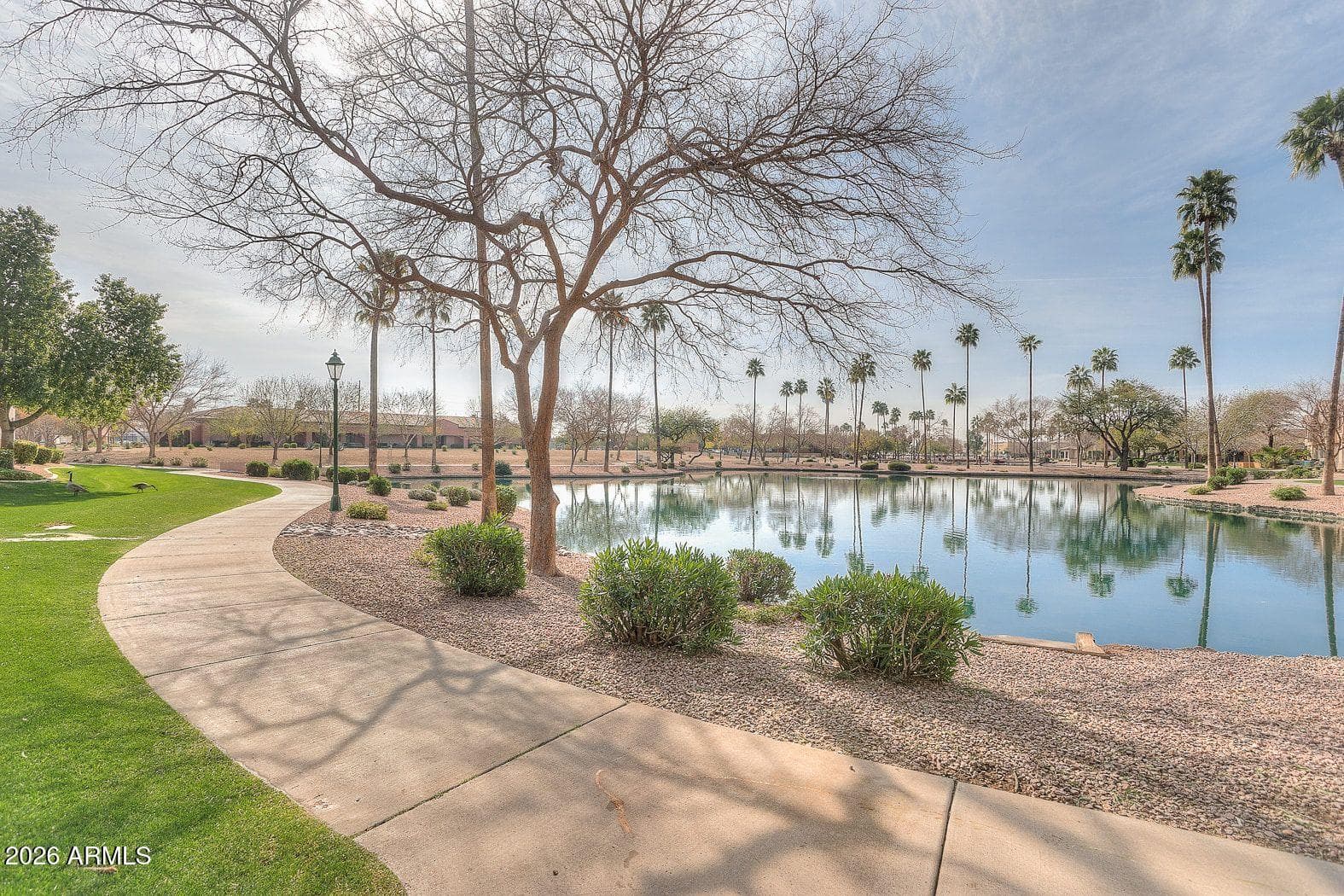9228 E Champagne Drive, Sun Lakes, AZ 85248 — photo 29 of 36