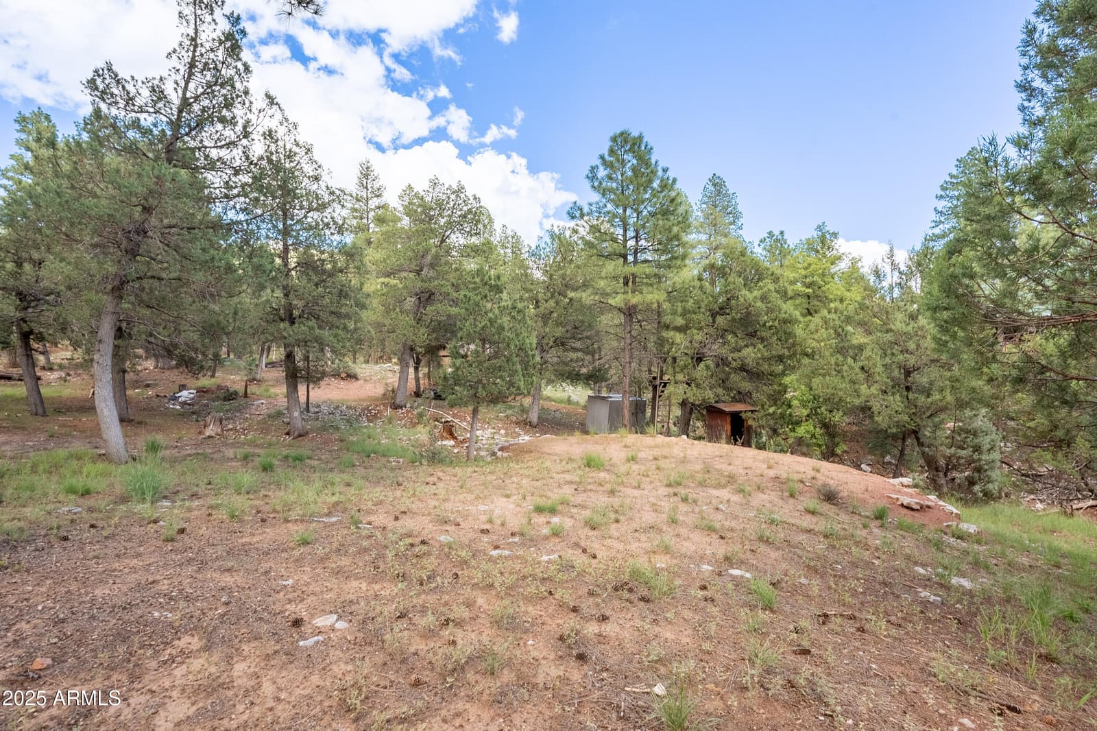 199 S Greystone Circle, Payson, AZ 85541 — photo 62 of 82