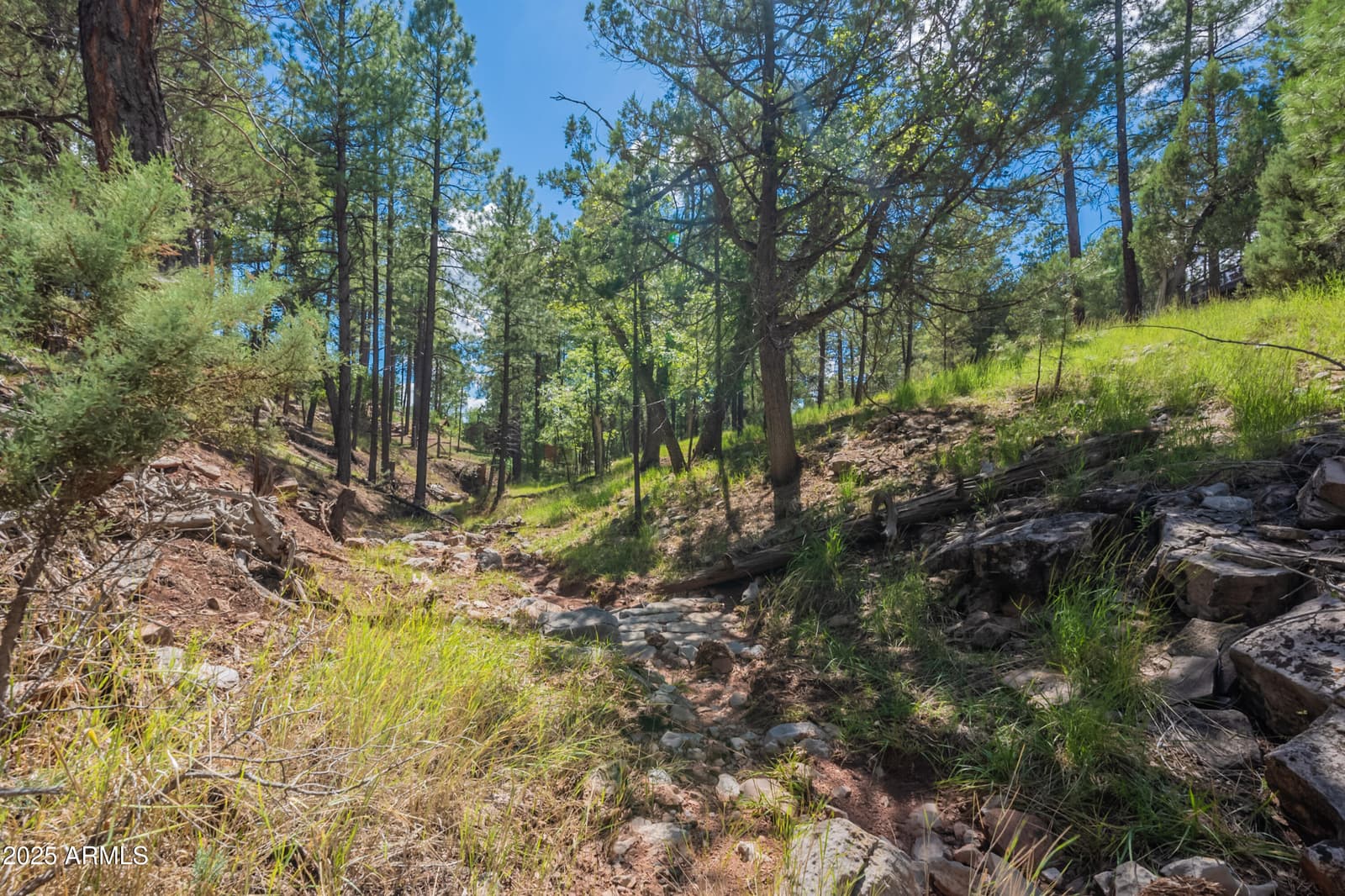 199 S Greystone Circle, Payson, AZ 85541 — photo 68 of 82