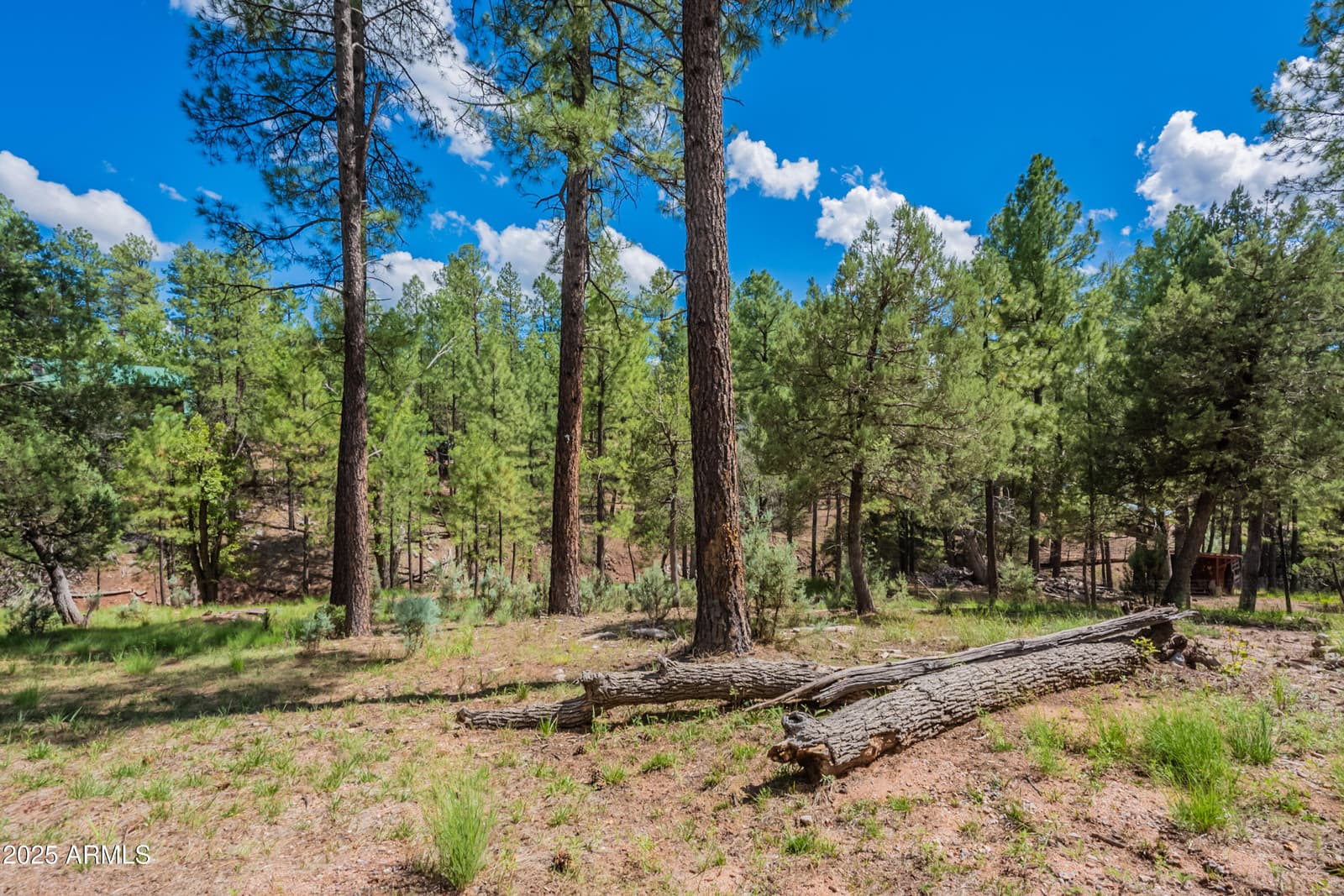 199 S Greystone Circle, Payson, AZ 85541 — photo 72 of 82