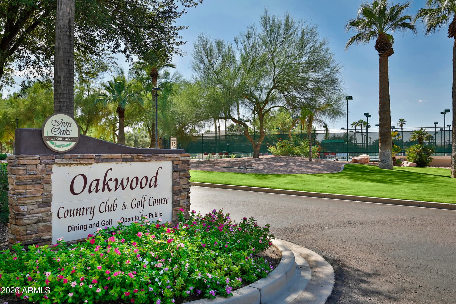 24657 S Desert Trail Drive, Sun Lakes, AZ 85248 — photo 23 of 39