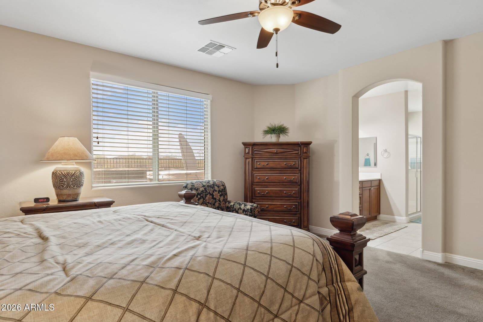 1311 E Barrett Drive, San Tan Valley, AZ 85143 — photo 38 of 59