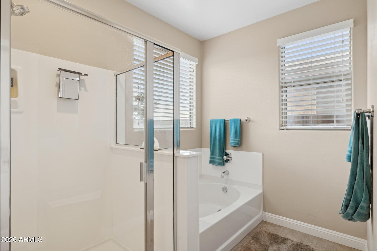 1311 E Barrett Drive, San Tan Valley, AZ 85143 — photo 43 of 59