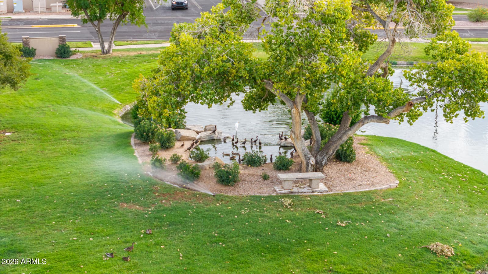 2392 W Rockrose Way, Chandler, AZ 85248 — photo 50 of 50