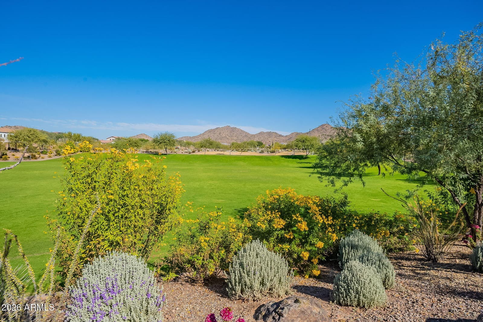 7254 W Buckhorn Trail, Peoria, AZ 85383 — photo 66 of 68