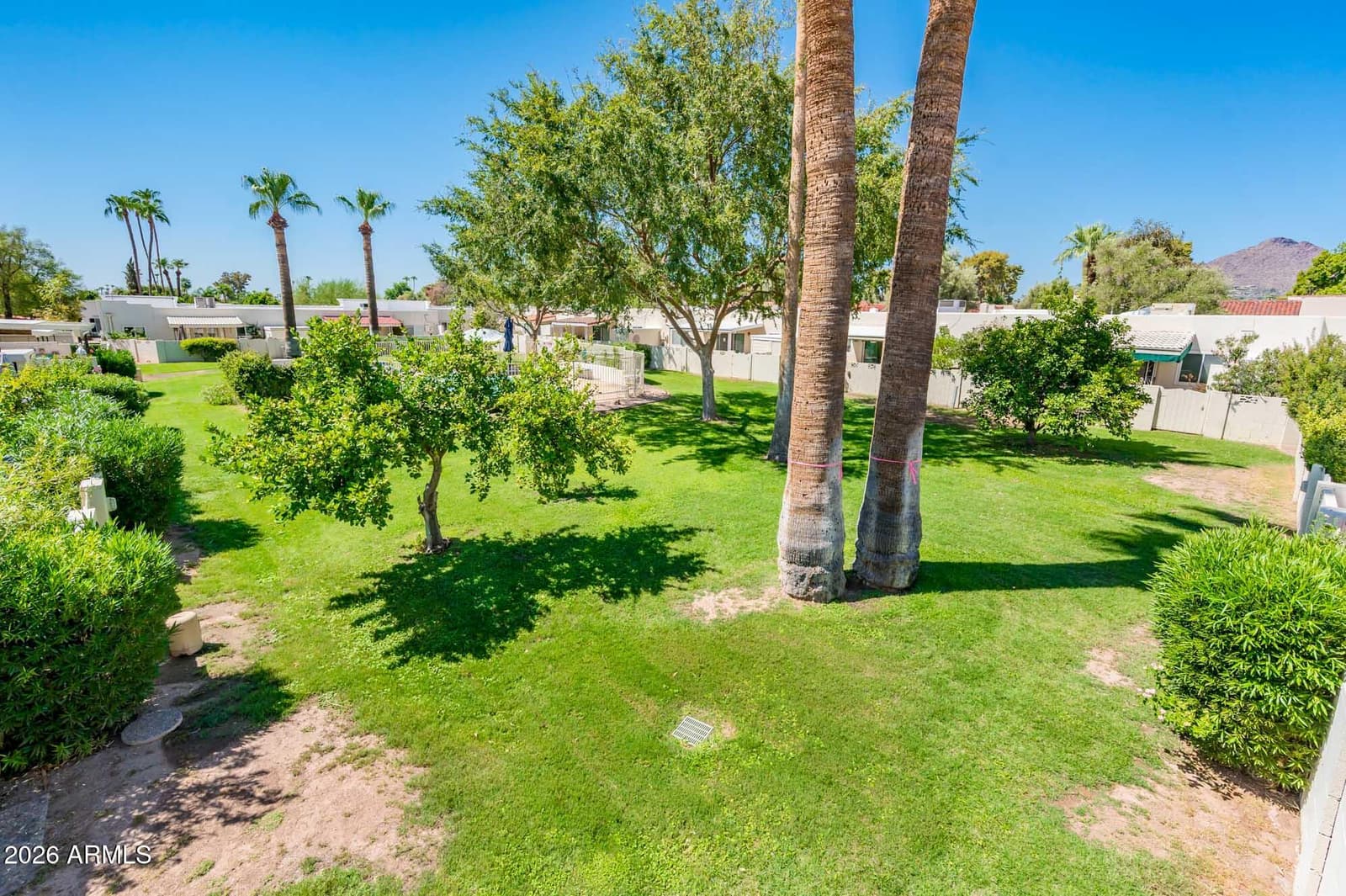7806 E Bonnie Rose Avenue, Scottsdale, AZ 85250 — photo 35 of 38