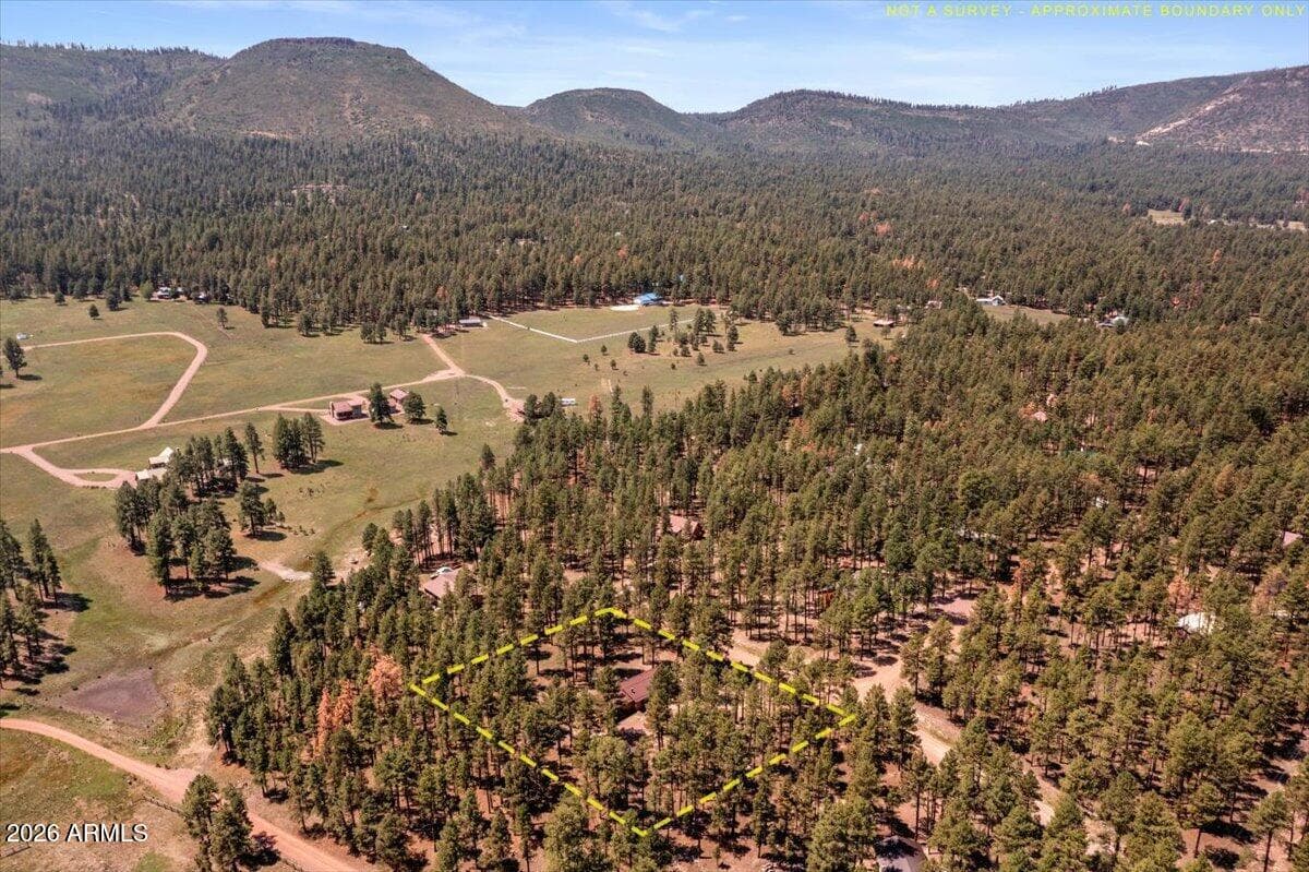 8 Turkey Track Drive, Alpine, AZ 85920 — photo 32 of 34
