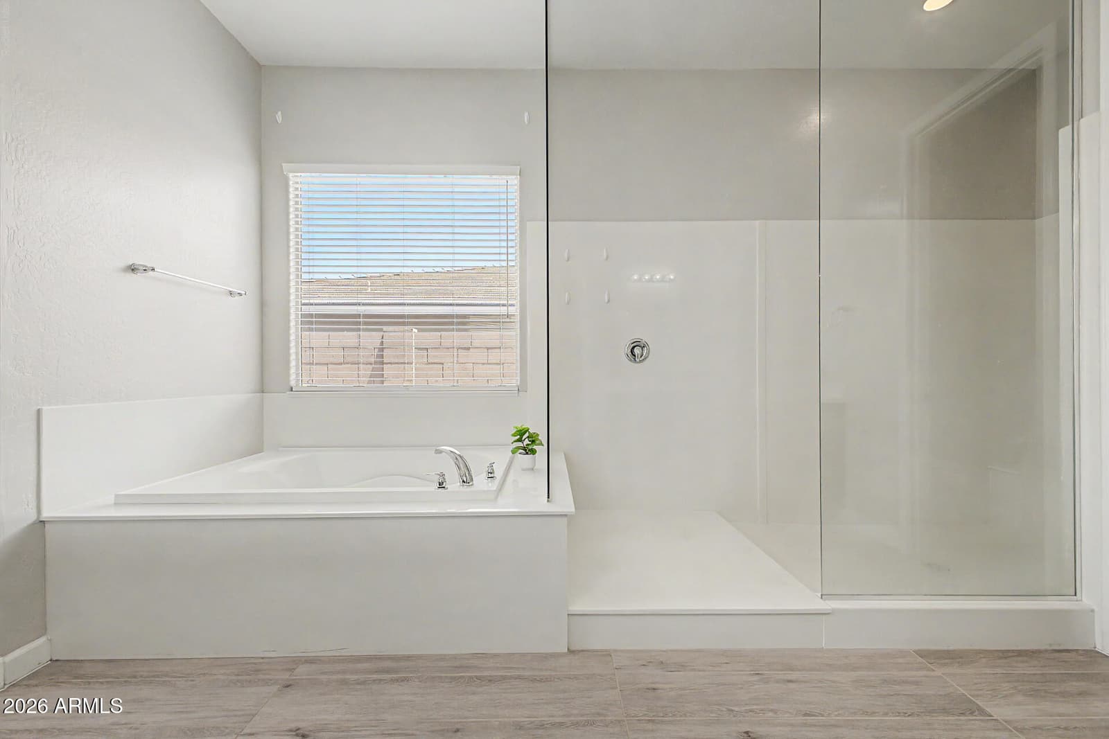 13794 W Sarano Terrace, Litchfield Park, AZ 85340 — photo 16 of 30