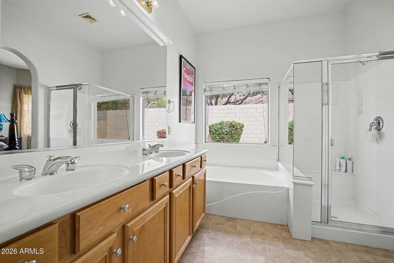 3022 W Silver Fox Way, Phoenix, AZ 85045 — photo 19 of 41