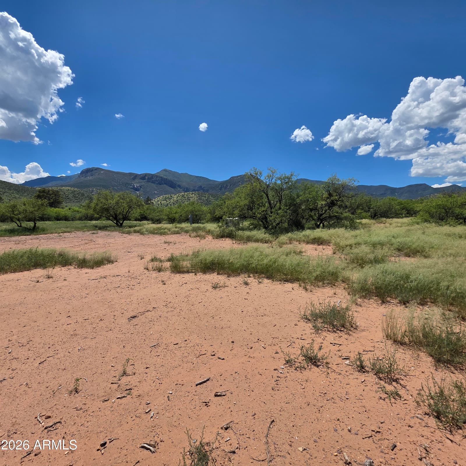 0 E Summer Trail, Hereford, AZ 85615 — photo 15 of 16