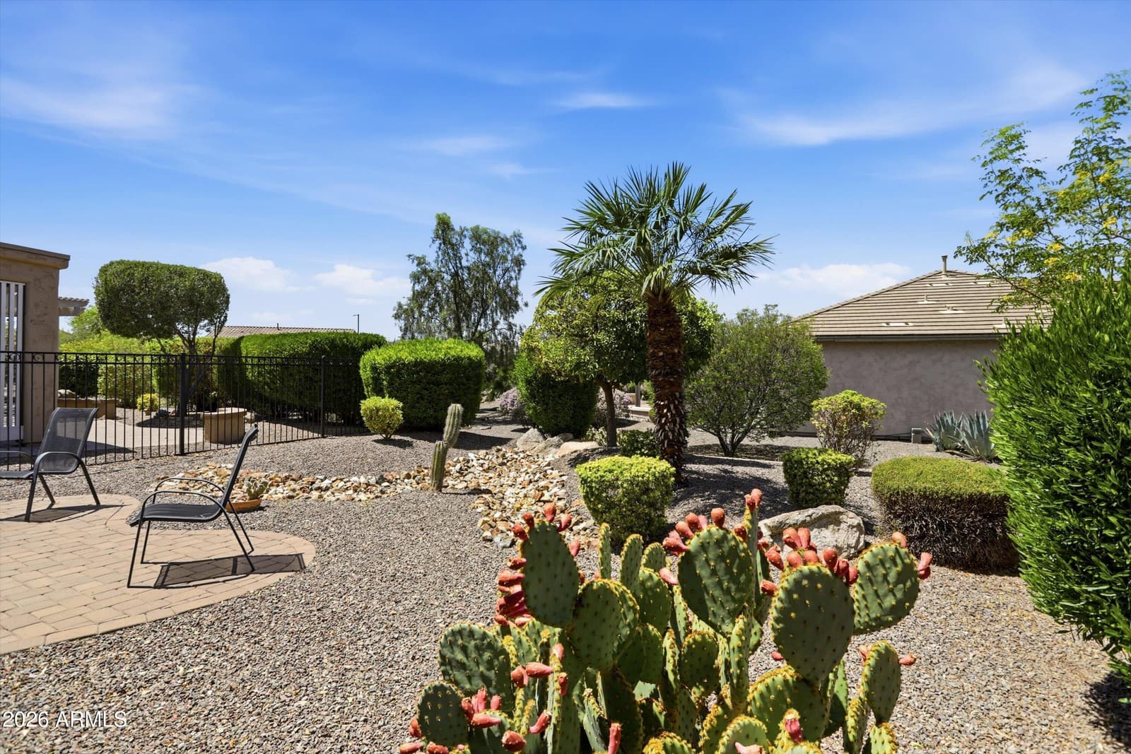 21312 N 262nd Drive, Buckeye, AZ 85396 — photo 30 of 42