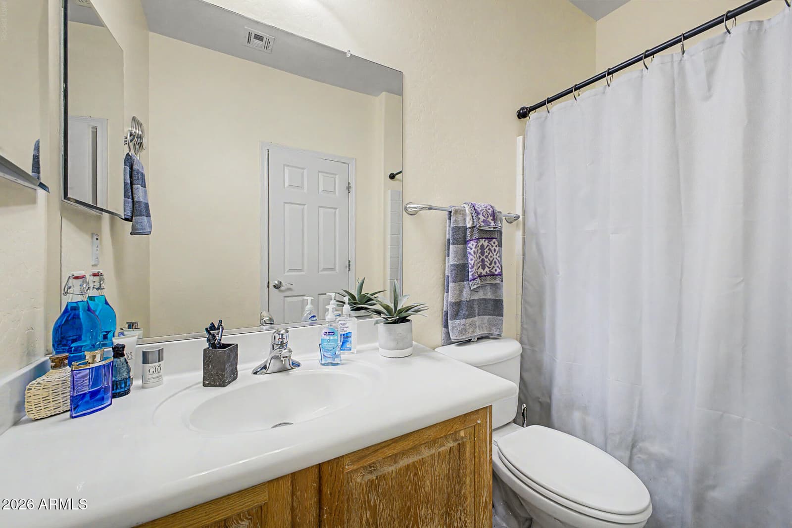 28571 N 124th Drive, Peoria, AZ 85383 — photo 54 of 81