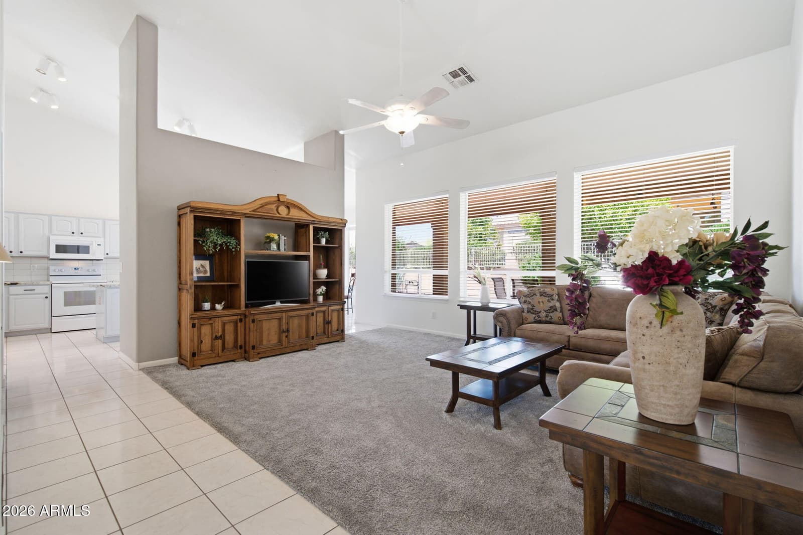 8166 E Birdie Lane, Gold Canyon, AZ 85118 — photo 4 of 52
