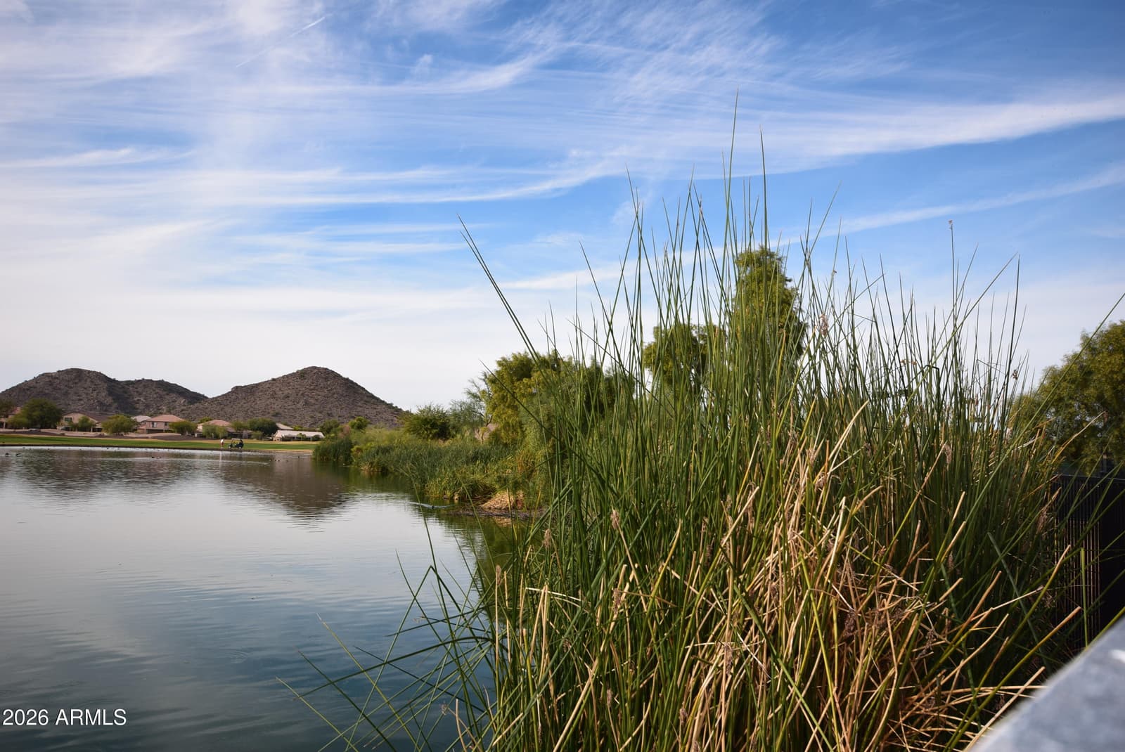1079 E Country Crossing Way, San Tan Valley, AZ 85143 — photo 45 of 49