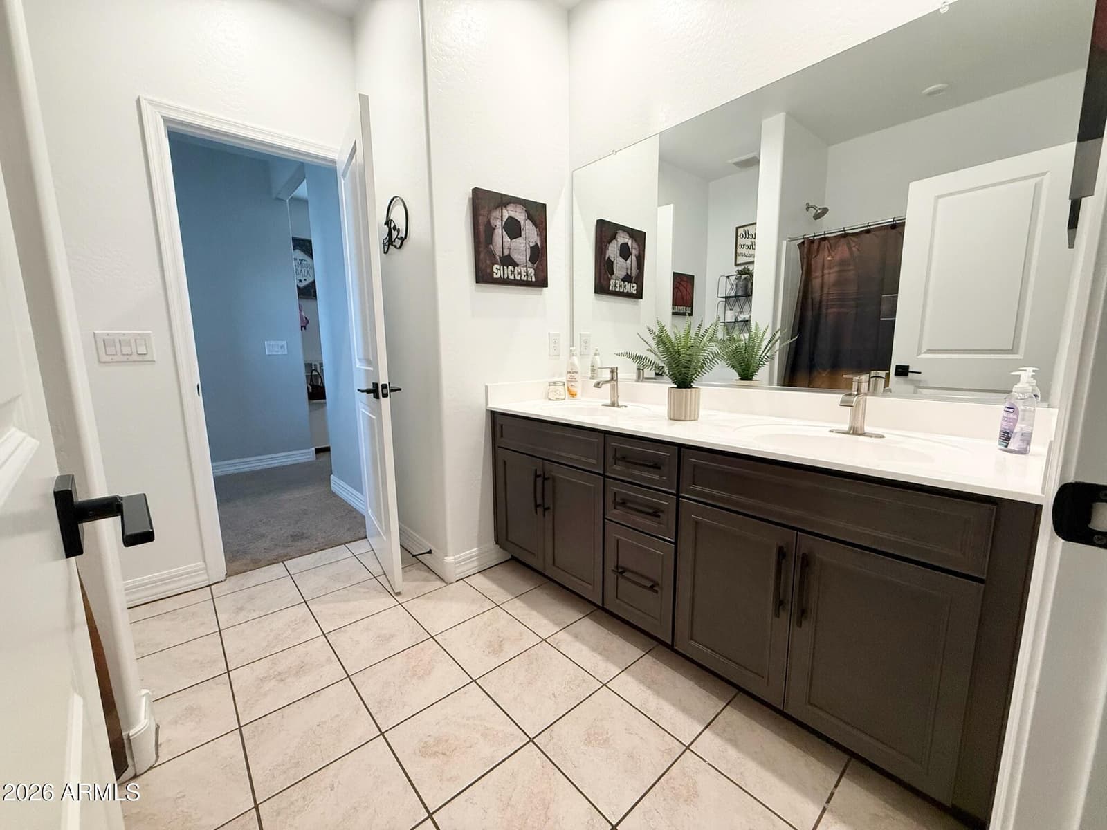 19305 W Valle Vista Way, Litchfield Park, AZ 85340 — photo 23 of 34