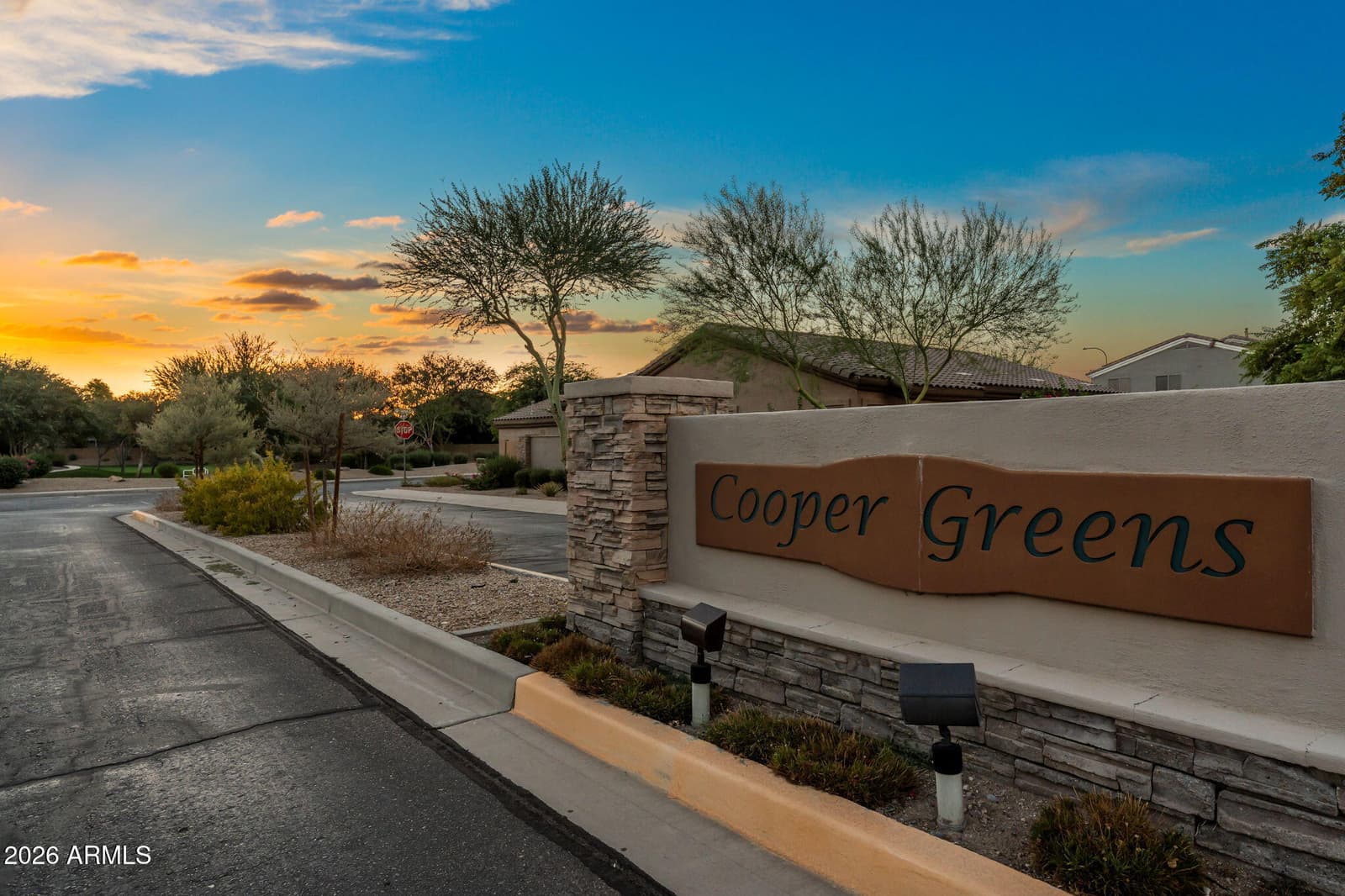 3570 S Tower Avenue, Chandler, AZ 85286 — photo 41 of 52