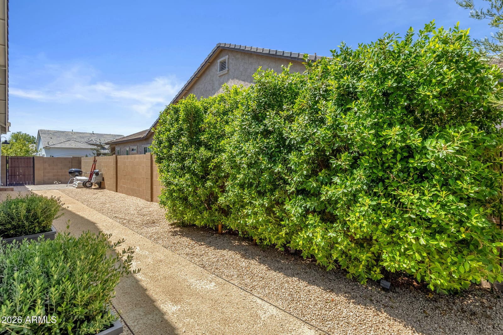 4442 E Fairbrook Street, Mesa, AZ 85205 — photo 48 of 59
