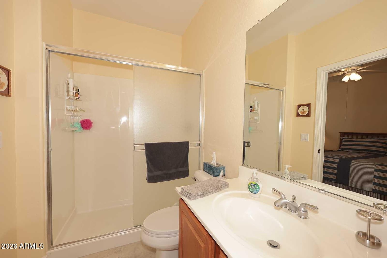 16645 N 173rd Avenue, Surprise, AZ 85388 — photo 12 of 21