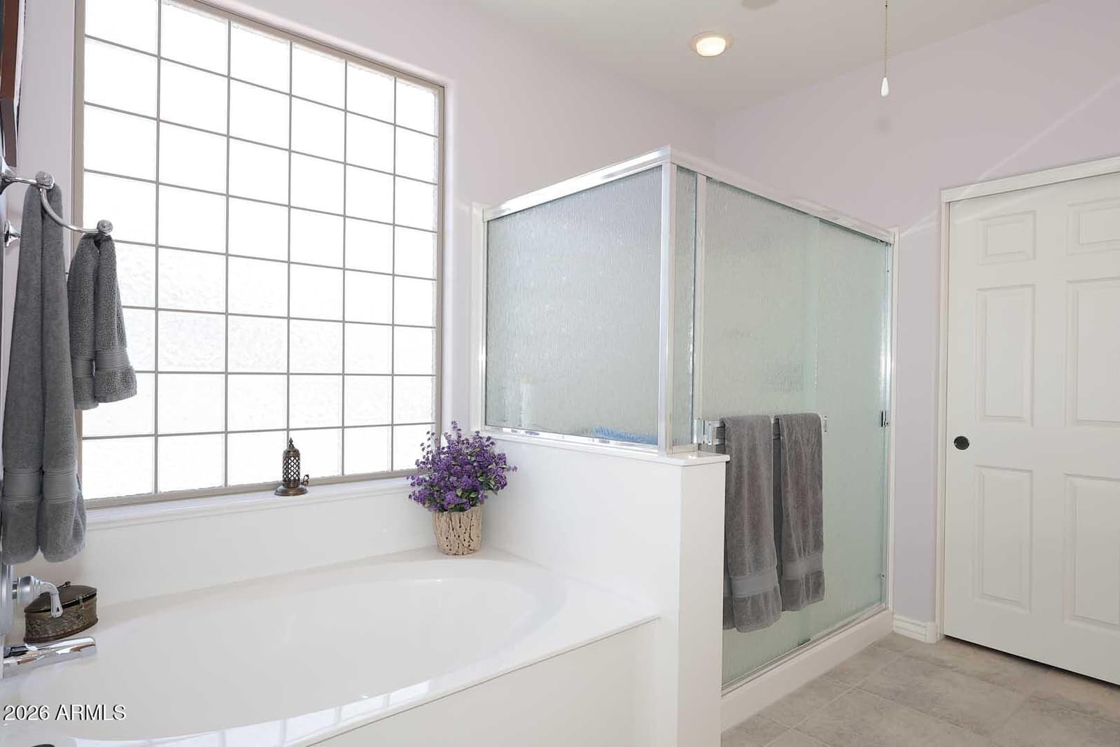 16645 N 173rd Avenue, Surprise, AZ 85388 — photo 10 of 21